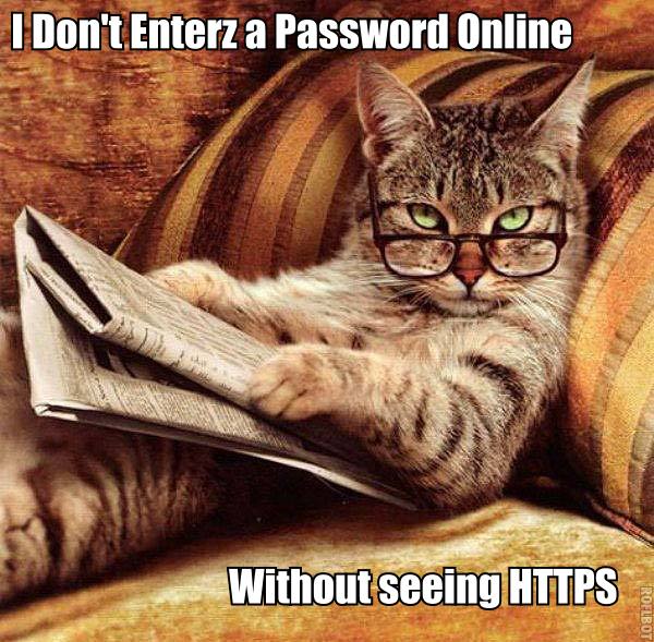 LOLCat HTTPS.jpg