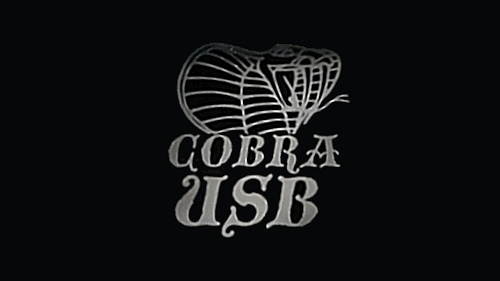 PS4_Cobra_USB.jpg