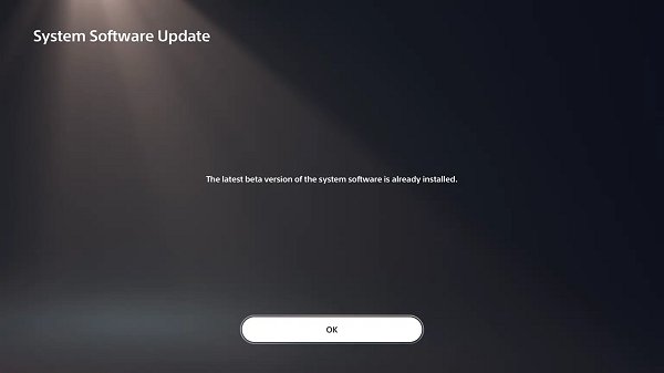PS5 Beta Firmware  System Software 3.0-05.00.00 Incoming, Details.jpg