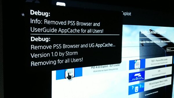 PS5 Browser_appCache_remove ELF.jpg