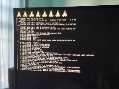 PS4_Linux_Patched.jpg