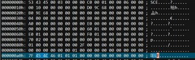 decrypted_elf.jpg