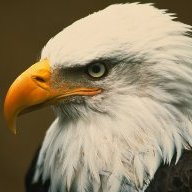 EAGLEBOIE101