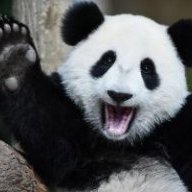 Cumipanda