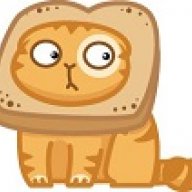 Catt