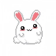 Mehdibunny