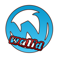 WalidousRE