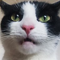 Naitsybes