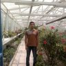 mohammadne