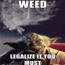 redijedi808