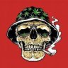 ThcJunkie2019