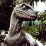 RaptorSA