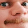 nortonec