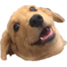 SwarmOfDogs