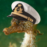 Seahorse