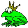 honeycombfrog